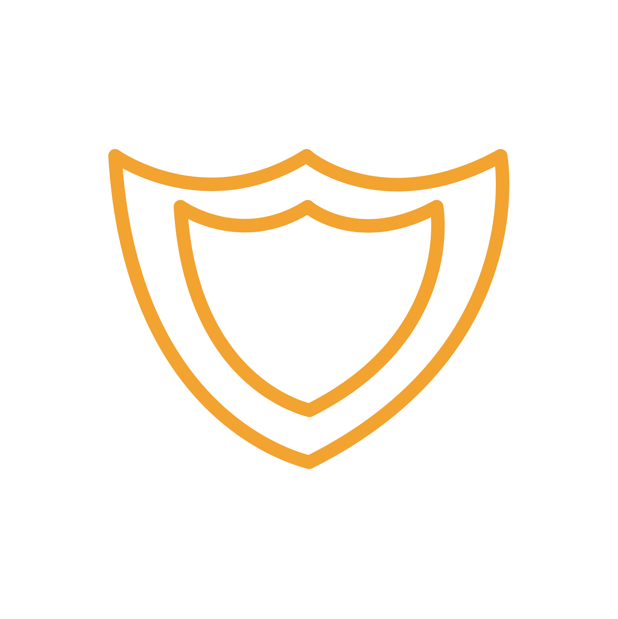 shield icon